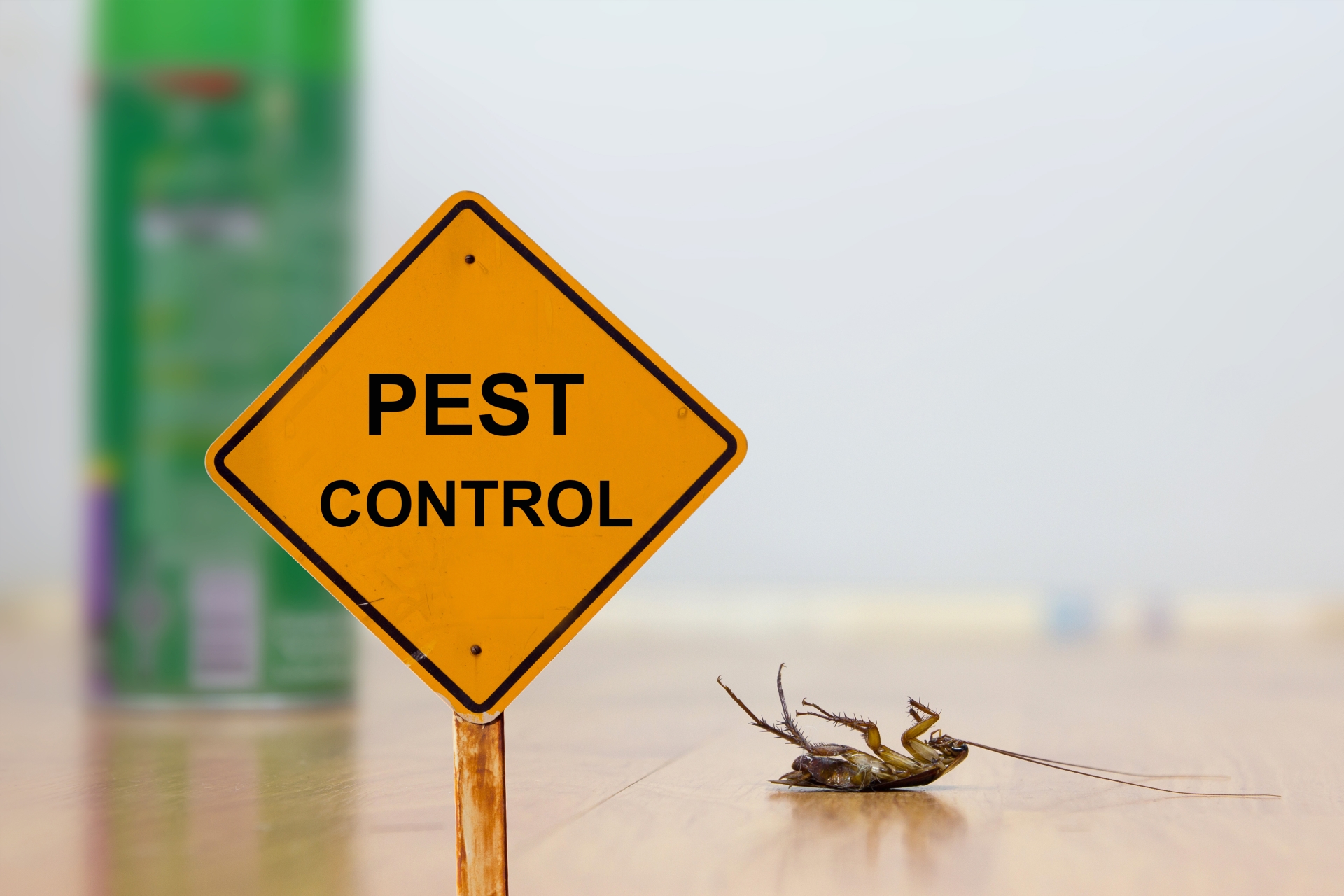24 Hour Pest Control, Pest Control in Brentford, Kew Bridge, TW8. Call Now 020 8166 9746
