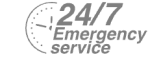 24/7 Emergency Service Pest Control in Brentford, Kew Bridge, TW8. Call Now! 020 8166 9746